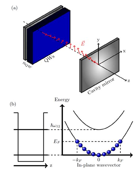 What Is Investigation Procedure
