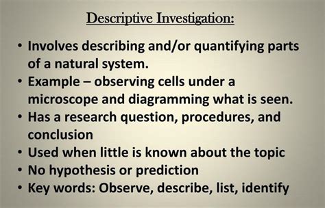 What Is Investigation Brainly Plus