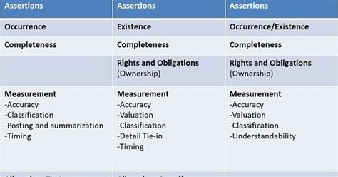 What Is Investigation How Does It Differ From Auditing Assertions