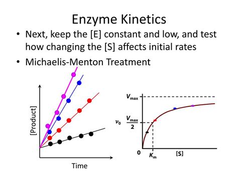 What Is Kinetics Investigation Techniques