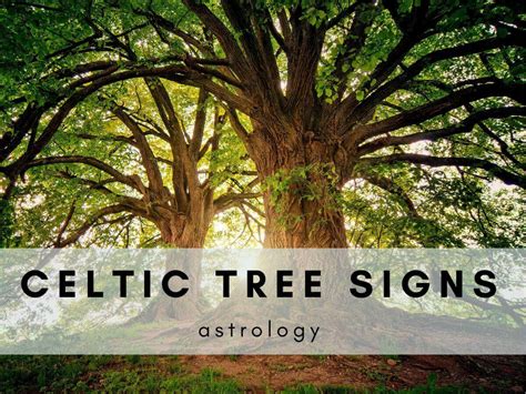 Discover Your Celtic Sign and Uncover Your Unique Personality Traits