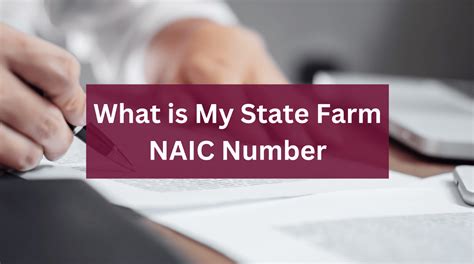 What Is Naic Number State Farm