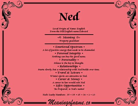 What Is Ned Short For