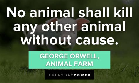 What Is Power In Animal Farm