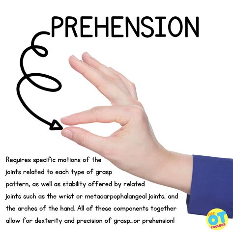 What Is Prehension Farm Animals