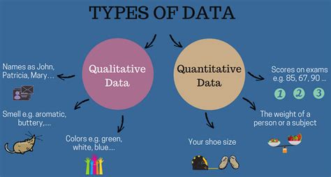 What Is Qualitative Data And Quantitative Data