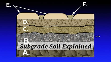 What Is Sw Soil A Guide For Gardeners And Landscapers