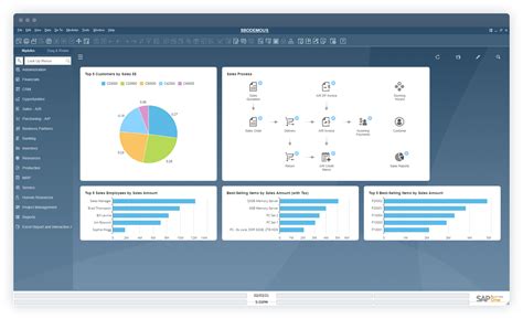 What Is Sap Software