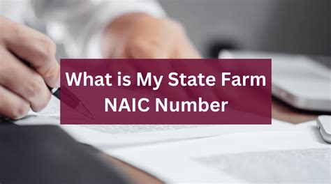 What Is State Farm'S Naic Number