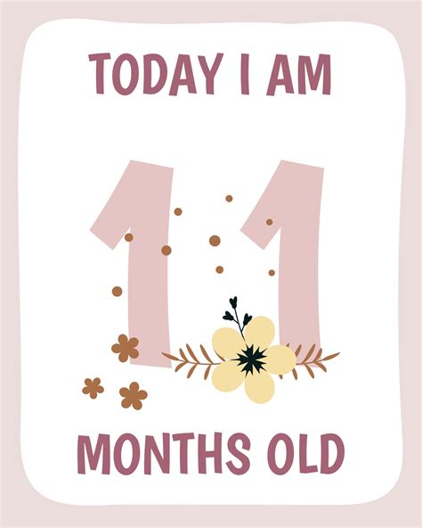 Unveiling the Enchanted Spell of the Eleventh Month - A Comprehensive Guide