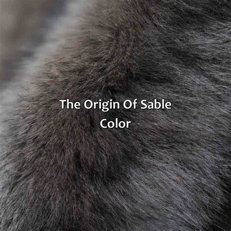 What Is The Color Sable