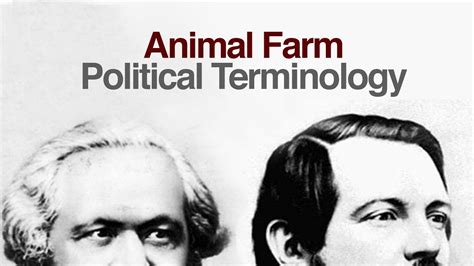 What Is The Concept Of Animal Farm And Facebook