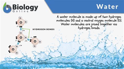 Unlocking the H2O Mystery: Discovering the Definition of Water