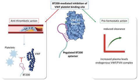 What Is The Factor Of 8