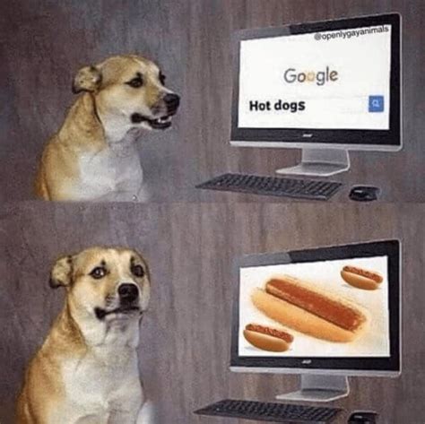 What Is The Hot Dog Meme