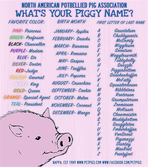 What Is The Mean Pigs Name On Animal Farm