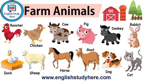 What Is The Study Of Farm Animals Called