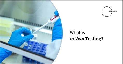 What Is Vivo Testing