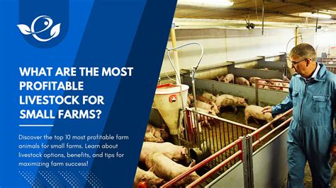 What Kind Of Animal Farming Is Profitable