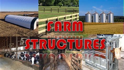 What Kind Of Structure Is Animal Farm