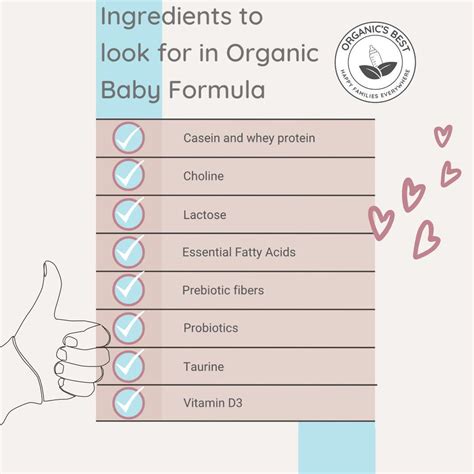 What Makes it Work Key Ingredients to Look For in Your Formula