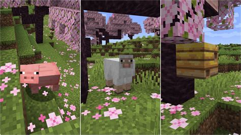 What Mobs Spawn in Cherry Grove Biome