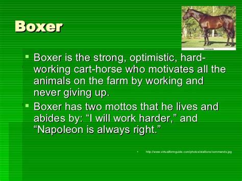 What Motivates Boxer In Animal Farm