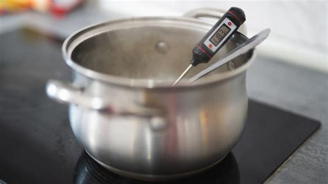 What Must A Food Handler Do To A Thermometer Before Using It