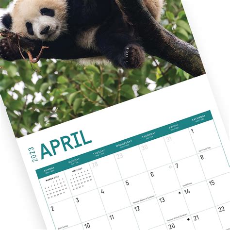 Annual calendar 2023 with cute panda. set of vertical templates