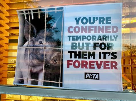 What Stopped The Other Pigs From Protest Animal Farm
