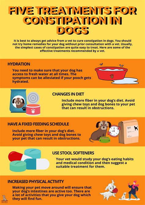 What To Do For Constipation In Dogs