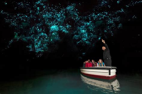 Discovering the Wonders: An Ultimate Guide on What To Do in Waitomo, New Zealand