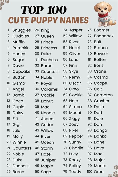 What To Name A Puppy