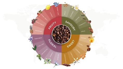 What To flavour For In A collaborator
