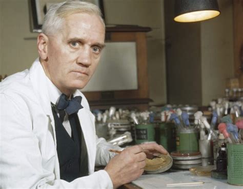 What Was Alexander Fleming Did He Have Any Farm Animals