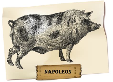 What Was Napoleon'S Goal Animal Farm