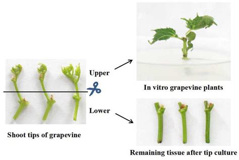 What and how to shoot