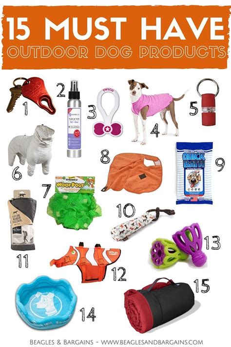 What are the imperative accessories for your dog?