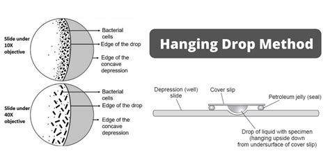 What happens during a Pan Drop