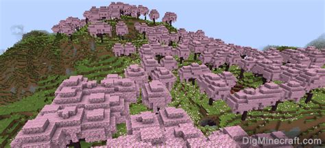 What is Cherry Grove Biome in Minecraft