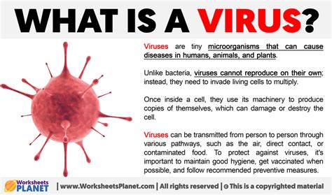 What is a Virus?