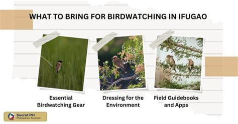 What to Bring Birdwatching