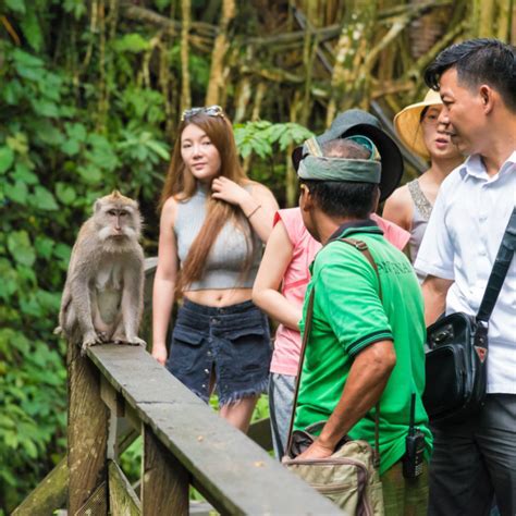 What to Bring to Monkey Forest