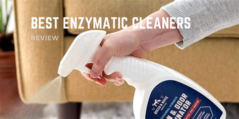What to Consider When Buying an Enzymatic Cleaner