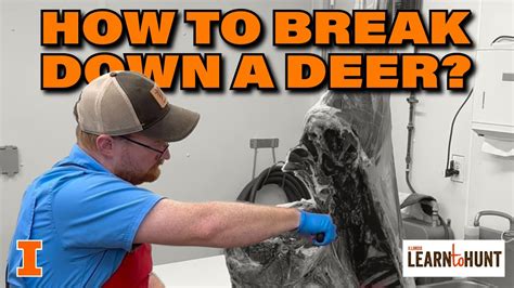 What to Do When You Break Down