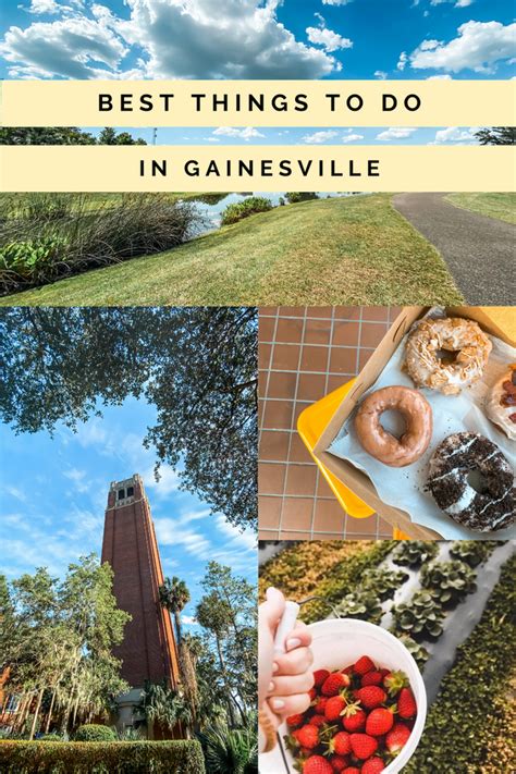 What to Do in Gainesville