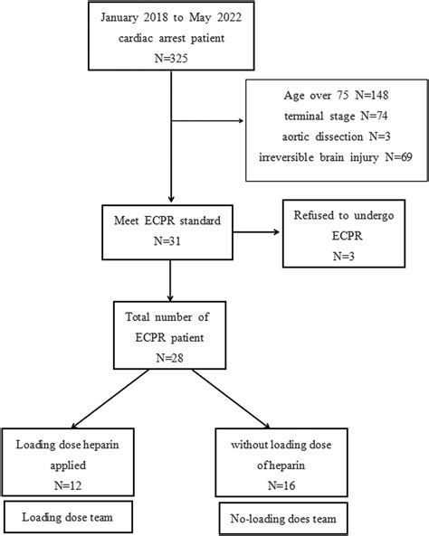 What to Expect During the Loading Dose Period