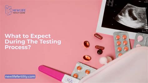 What to Expect During the Testing Process