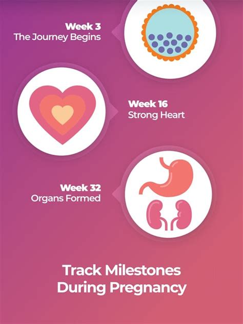 What to Expect: Pregnancy Tracker