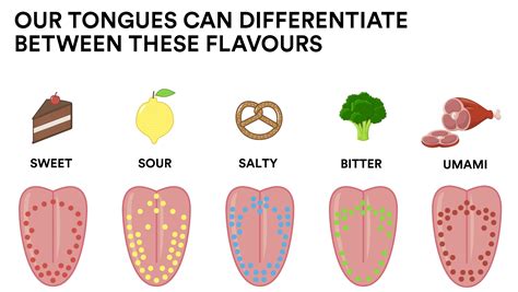 What to Expect Texture and Taste Changes